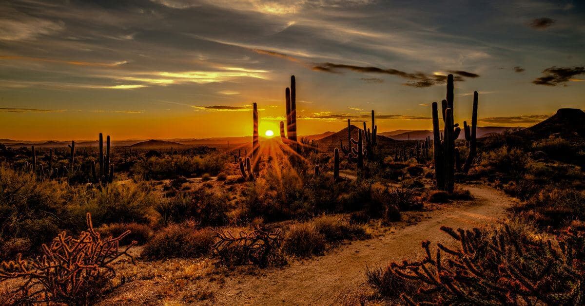 Scottsdale (1)